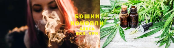 PSILOCYBIN Баксан