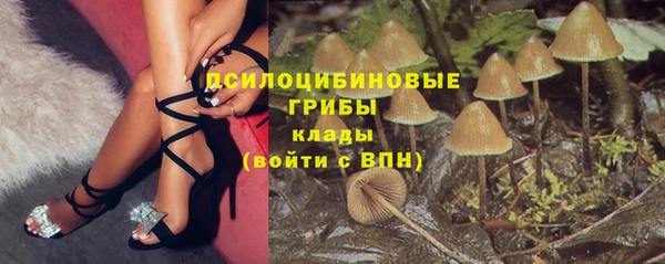 прущие крисы Арсеньев