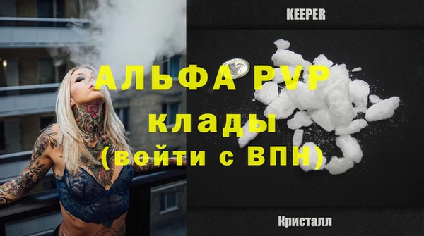 PSILOCYBIN Баксан